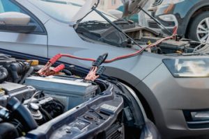 Saiba Como Cuidar da Sua Alimentadora e Evitar Surpresas Desagradáveis